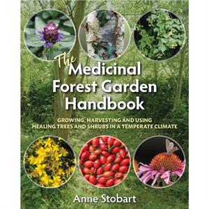 The Medicinal Forest Garden Handbook by Anne Stobart