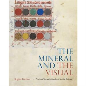 The Mineral and the Visual by Brigitte Smith College Buettner