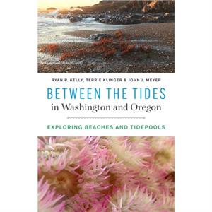 Between the Tides in Washington and Oregon by John J. Meyer