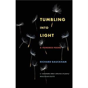 Tumbling Into Light by Richard Bauckham