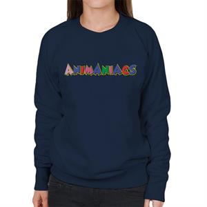 Animaniacs 90s Colour Text Logo Women's Sweatshirt