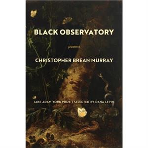 Black Observatory by Christopher Brean Murray