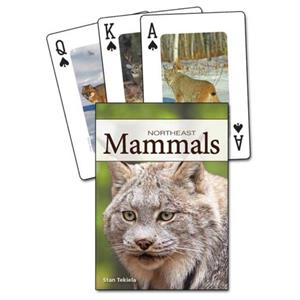 Mammals of the Northeast Playing Cards by Stan Tekiela