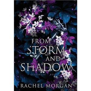 From Storm and Shadow by Rachel Morgan