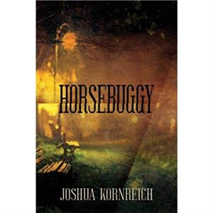 Horsebuggy by Joshua Kornreich