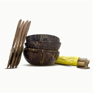 Tovi Family Coconut Bowl Set