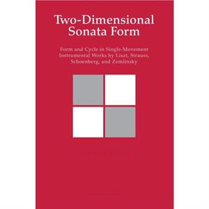 TwoDimensional Sonata Form by Steven Vande Moortele