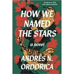 How We Named the Stars by Andres N. Ordorica