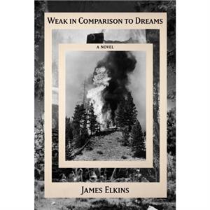 Weak in Comparison to Dreams by James Elkins