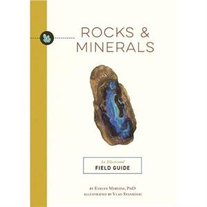 Rocks and   Minerals by Evelyn Mervine