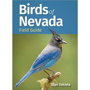 Birds of Nevada Field Guide by Stan Tekiela