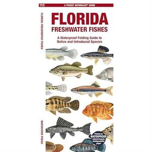 Florida Freshwater Fishes by Morris & Matthew & Waterford Press