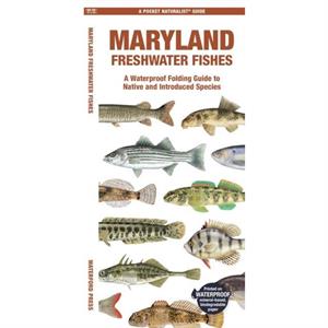 Maryland Freshwater Fishes by Matthew Morris Matthew Morris