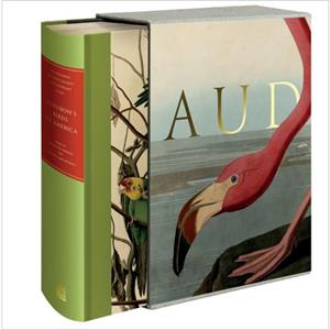 Audubons Birds of America by Virginia Marie Peterson