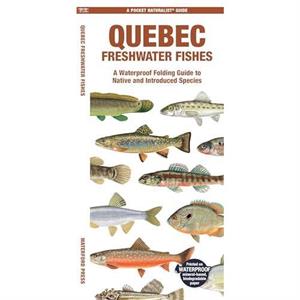 Quebec Freshwater Fishes by Morris & Matthew & Waterford Press