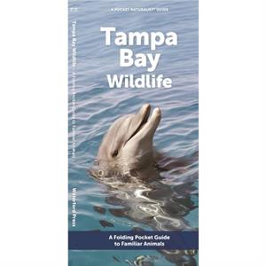 Tampa Bay Wildlife by Waterford Press