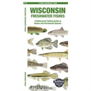 Wisconsin Freshwater Fishes by Morris & Matthew & Waterford Press