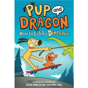 How to Catch Graphic Novels How to Catch a Dinosaur by Alice Walstead