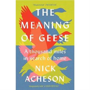 The Meaning of Geese by Nick Acheson