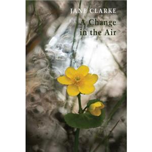 A Change in the Air by Jane Clarke