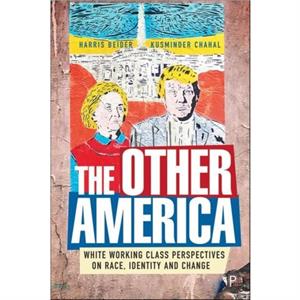 The Other America by Kusminder Chahal