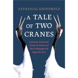 A Tale of Two Cranes by Nathanial Gronewold