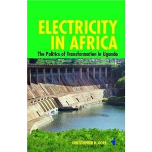 Electricity in Africa by Christopher Customer Gore