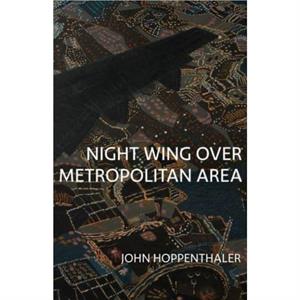 Night Wing over Metropolitan Area by John Hoppenthaler