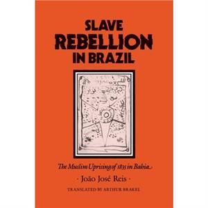 Slave Rebellion in Brazil by Reis & Joo Jos 