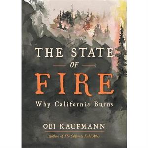 The State of Fire by Obi Kaufmann