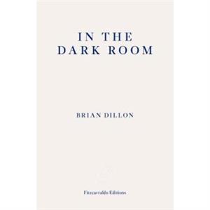 In the Dark Room by Brian Dillon