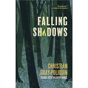 Falling Shadows by Christian GuayPoliquin