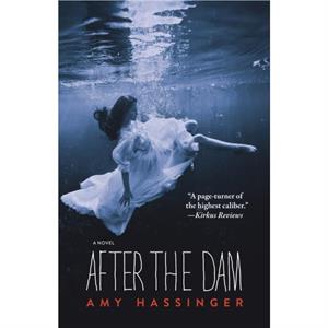 After the Dam by Amy Hassinger