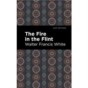 The Fire in the Flint by Walter Francis White