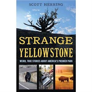 Strange Yellowstone by Scott Herring