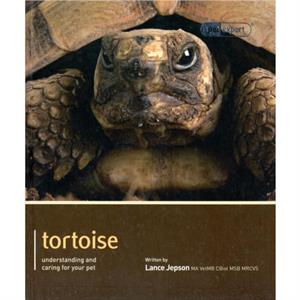 Tortoise  Pet Expert by Lance Jepson