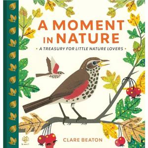 A Moment in Nature by Clare Beaton