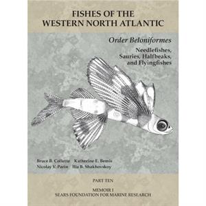 Order Beloniformes Needlefishes Sauries Halfbeaks and Flyingfishes by Ilia B Shakhovskoy