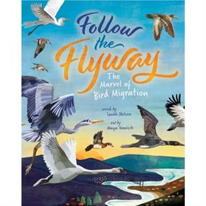 Follow the Flyway by Sarah Nelson