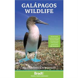 Galapagos Wildlife by David Horwell