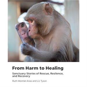 From Harm to Healing by Liz Liz Tyson Tyson