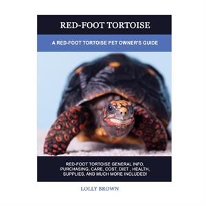 RedFoot Tortoise by Lolly Brown