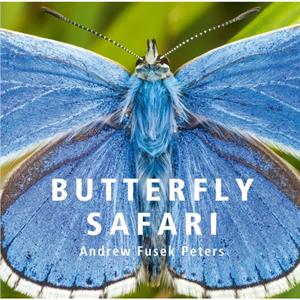 Butterfly Safari by Andrew Fusek Peters