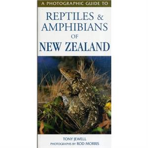 Photographic Guide To Reptiles  Amphibians Of New Zealand by T Jewell & R Morris