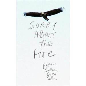 Sorry About the Fire by Colleen Coco Collins