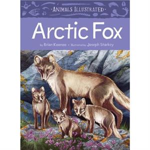 Animals Illustrated Arctic Fox by Brian Koonoo