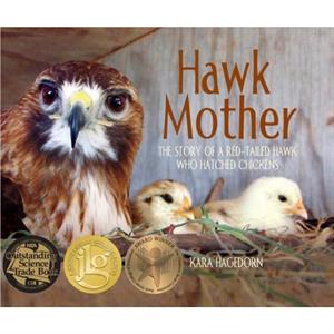 Hawk Mother by Kara Hagedorn