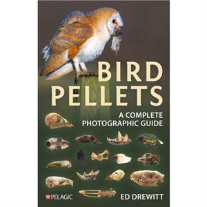 Bird Pellets by Ed Drewitt