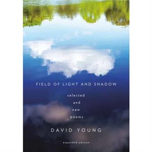 Field of Light and Shadow by David Young