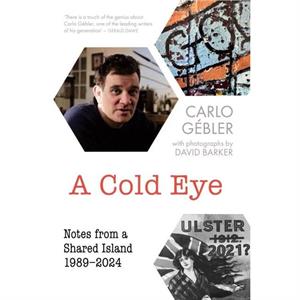 A Cold Eye by Carlo Gebler